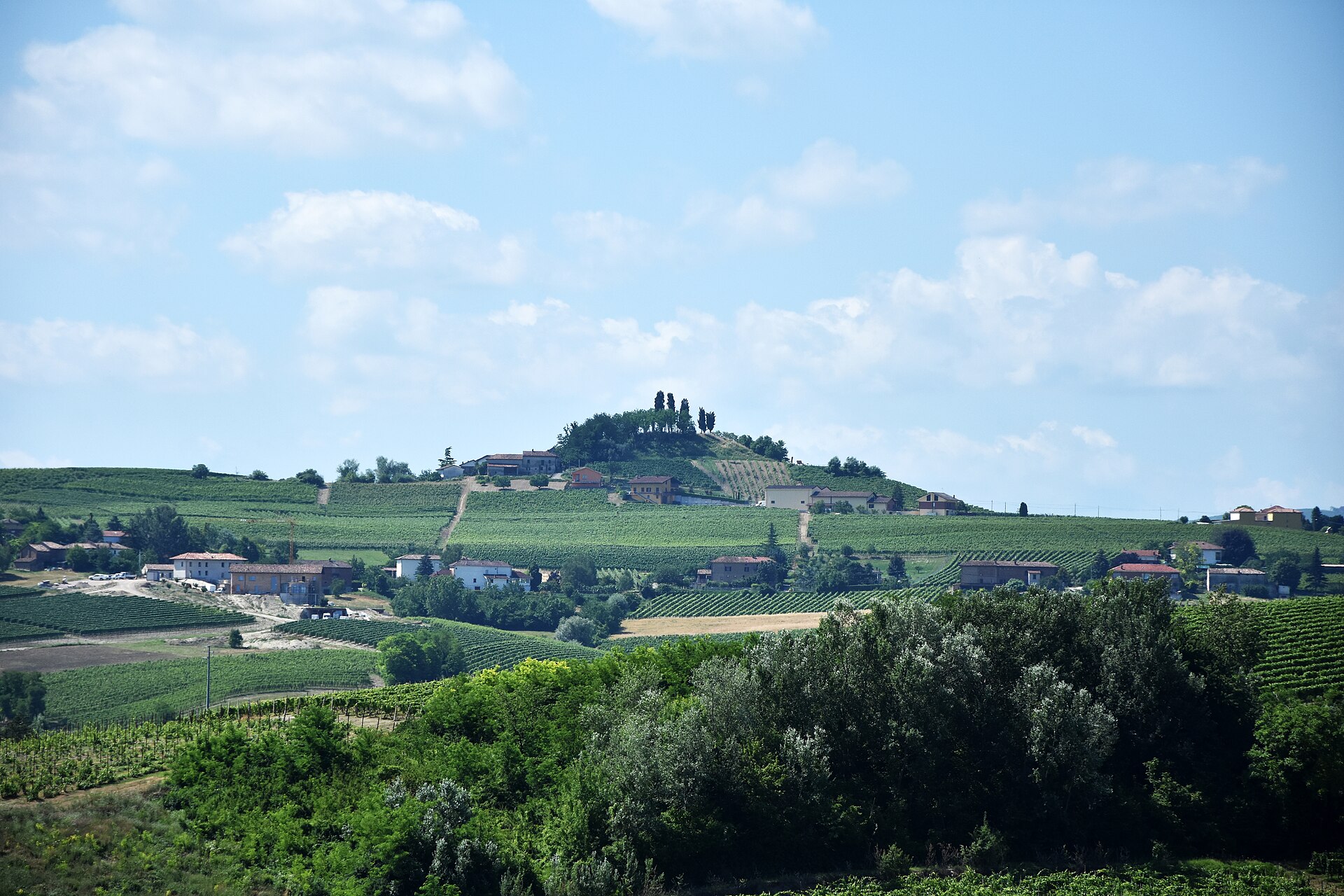 Glooiende wijngaarden in de Monferrato bij Viarigi, Piëmont